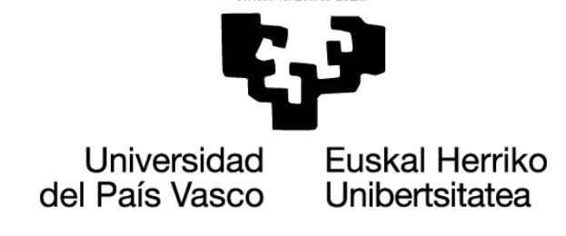 Abierto el plazo de prematrícula para el “Máster en Igualdad de Mujeres y Hombres: Agentes de Igualdad” - Universidad del País  Vasco