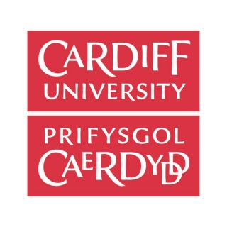 Dos puestos permanentes: Relaciones Internacionales y Ciencias Políticas - Universidad de Cardiff